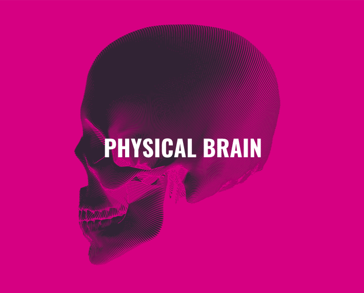 physical brain